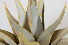 Load image into Gallery viewer, Sharkskin Agave-Small