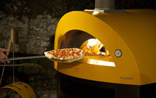 Load image into Gallery viewer, Alfa Allegro Outdoor Oven W/BASE