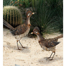 Load image into Gallery viewer, Sienna Roadrunner Décor 18"-Up
